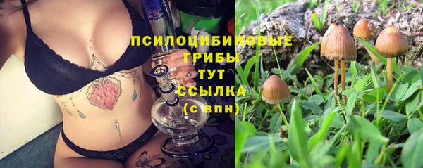 эйфоретик Белоозёрский